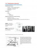 TEMA 2. PROCESOS MUSCULO – ESQUELETICOS CUIDADOS DE ENFERMERÍA AL PACIENTE TRAUMATOLÓGICO