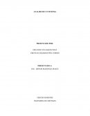 Pensamiento sistemico y su aplicacion en las empresas