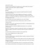 MÚSCULOS DE LA NUCA.