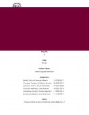 Contabilidad Financiera I Practica contable