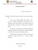 El violinista de los brazos largos