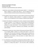 Antecedentes de la propiedad en Nicaragua