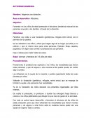 Fomentando el altruismo en preescolar: la actividad “Hagamos una donación