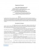 Arena Propuesta de Proyecto Artenvases SPA