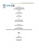 Origen y desarrollo de la enfermeria profesional en Mesoamerica en el Mexico Colonial e independiente