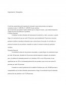 Formulación y evaluación de proyecto Empresa Carbón a base de bambú