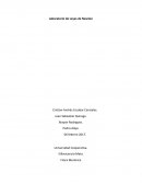 Laboratorio de Leyes de Newton.