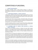 COMPETENCIA FUNCIONAL SISTEMA SOCIOECONOMICO