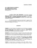Por medio del presente escrito ocurro ante este H. Juzgado a fin de que se me tenga por presentando y ofreciendo dentro de la presente Audiencia Preliminar los Alegatos de mi intención.
