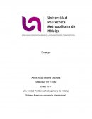 Universidad Politécnica Metropolitana de Hidalgo Sistema financiero nacional e internacional.