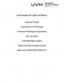 LA GRAN PSICOLOGIA COMUNITARIA