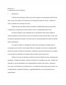 LEVANTAMIENTO DE CHIMENEA