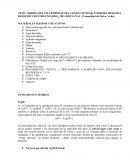 Un nuevo Monitorero del rio Nanay