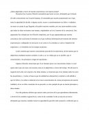 ¿Ideas adquiridas a través de nuestra experiencia o de manera innata?