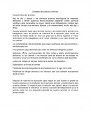 Concepto del producto o servicio: Características del producto