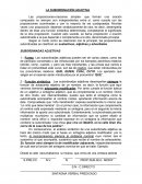 LA SUBORDINACIÓN ADJETIVA
