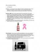 Plan de marketing Heineken