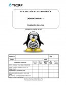 LABORATORIO Linux