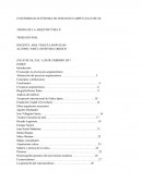 TEORIA DE LA ARQUITECTURA II TRABAJO FINAL