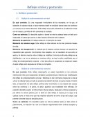 Reflejos orales Reflejo de enderezamiento corporal