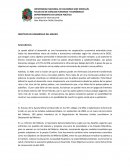 OBJETIVOS DE DESARROLLO DEL MILENO