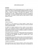 Cómo decido que comer? ¿Qué es un alimento?