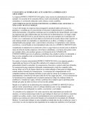 CUÁLES SON LAS TEORÍAS QUE ACTUALMENTE LA EMPRESA ESTÁ APLICANDO?