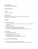 Acción de Inconstitucionalidad. Identificar una Acción de Inconstitucionalidad y su procedimiento ante el Tribunal Constitucional Plurinacional