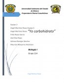 Preparatoria Plantel Cuauhtémoc “Yo carbohidrato”