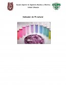 Indicador de Ph natural