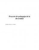 Proyecto de pedagogía de la diversidad