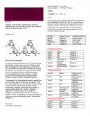 Obtención de glucógeno a partir de hígado de rata,Caracterización química del glucógeno