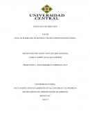 PLAN DE MARKETING DE MUESTRA, PEGASUS SPORTS INTERNATIONAL