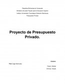 Presupuesto Empanadas CH&CH C.A