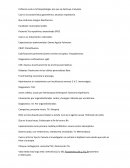 Enfisema cual es la fisiopatología. por que se destruye el alveolo