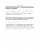 Impacto ambiental. ¿Medidas?