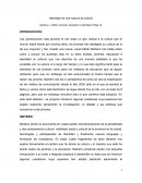 Identidad de una ruptura de cultura