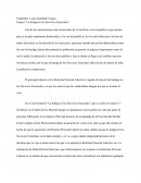 Ensayo ”La huelga en los servicios esenciales”