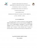 Acta de aprobación del informe de pasantías