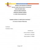 Siembra ecológica de hortalizas en canteros