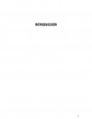 Los primeros filósofos griegos