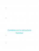 Estructura Familiar. Cambios en la estructura familiar