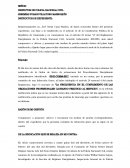 Memorial de presentación de medios de prueba en expediente disciplinario administrativo pnc