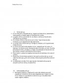 Trabajo física: el ojo