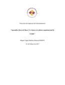 Aprendices fuera de línea: Un vistazo a la cultura organizacional de Google