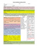 PLAN DE DESARROLLO CURRICULAR (PDC)