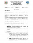 ARCHAEAS CARCTERISTICAS