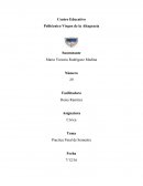 Practica Final de Semestre Cívica