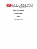 LENGUAJE CORPORAL Y SU SIGNIFICADO