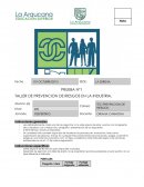 PRUEBA Nº1 TALLER DE PREVENCION DE RIESGOS EN LA INDUSTRIA.